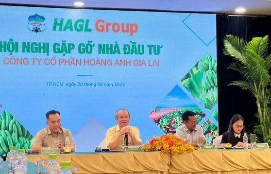 HAG tăng mạnh, Hoàng Anh Gia Lai vẫn “loay hoay” với bài toán huy động vốn