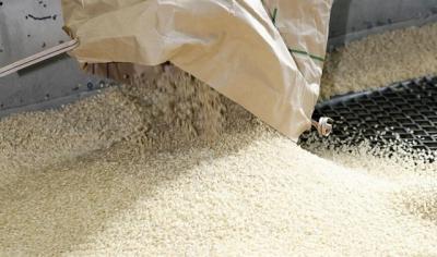 Giá gạo toàn cầu tăng trong tháng Năm nhờ nhu cầu tăng mạnh