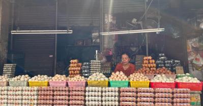 Việt Nam dự kiến nhập gần 1 triệu trứng gia cầm trong năm tới