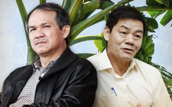 “Cõng” HAGL Agrico (HNG), Thaco Agri lỗ chồng lỗ