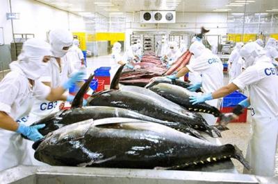 Đà giảm của xuất khẩu thủy sản đã chậm lại, chỉ còn giảm 11% trong tháng 7