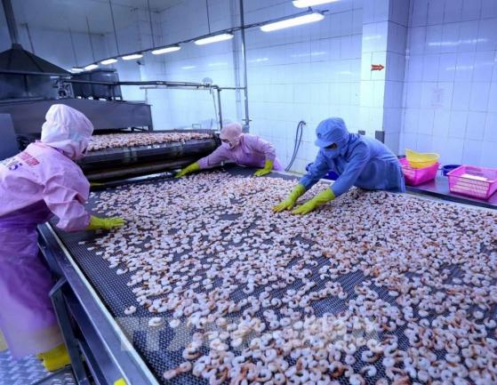Vua tôm Minh Phú (MPC) tiếp tục báo lỗ, cổ phiếu về đáy 1 năm