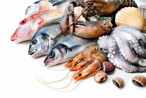 Doanh nghiệp thủy sản đầu tiên báo lãi quỹ 3/2023 giảm gần 83%