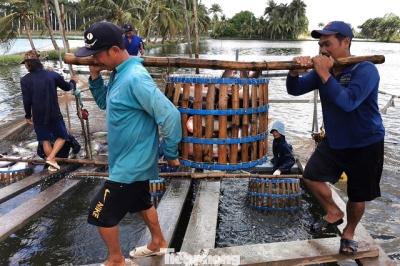 Thách thức thuế Mỹ là ‘phép thử’ quan trọng với doanh nghiệp