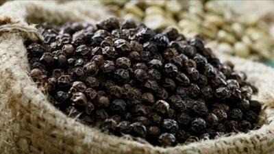Tân cảng Sài Gòn nói gì về nghi vấn hơn 19 tấn hàng xuất khẩu bị rút ruột?
