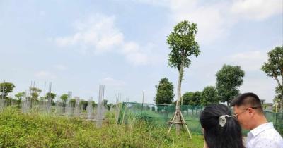 Lý do giá đất nền vùng ven tăng 'dựng đứng' nhưng nhà đầu tư vẫn thận trọng