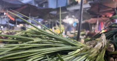 Bất ngờ giá hành lá tăng lên mức 100.000 đồng/kg
