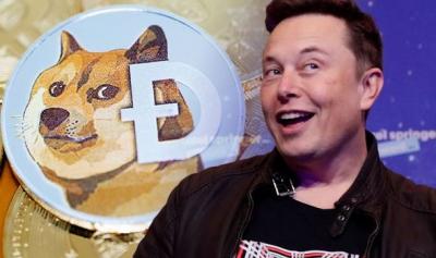 Dogecoin tăng hơn 20% sau khi Elon Musk nói Tesla chấp nhận thanh toán bằng Dogecoin