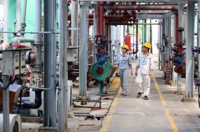 SCIC sẽ tập trung xử lý tồn tại phát sinh tại các tập đoàn có quy mô vốn lớn