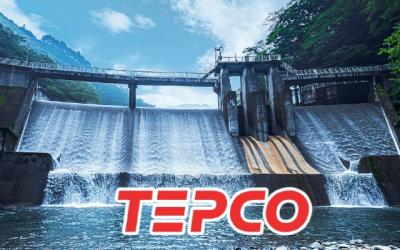 Vừa được cổ đông ngoại mua gần 25% vốn, cổ phiếu VPD liền "đổ đèo"