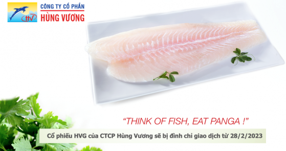 Cổ phiếu HVG bị đình chỉ giao dịch, Hùng Vương vang bóng một thời nay còn lại gì?