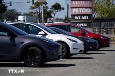 Tesla có phải “trả giá” về doanh số khi tỷ phú Musk “đắm mình” trong chính trường?