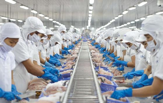 Cổ phiếu VIC tăng 2 phiên liên tiếp, thanh khoản thị trường thấp kỷ lục sau hơn 5 tháng