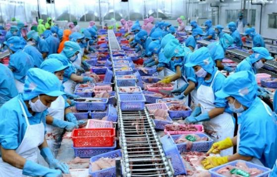 VDSC: Kim ngạch xuất khẩu thủy sản năm 2023 sẽ cao hơn giai đoạn 2020 - 2021