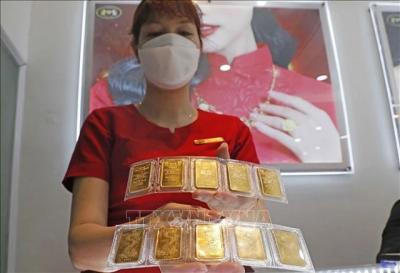 Giá vàng SJC tiếp tục tăng đến 800.000 đồng, tỷ giá đi ngang