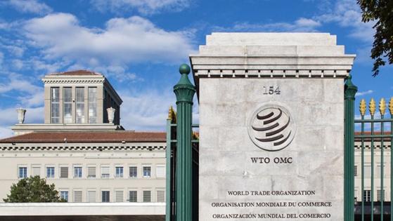 Đàm phán các quy tắc thương mại điện tử tại WTO đạt tiến triển mạnh mẽ