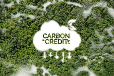 Tại sao nhiều doanh nghiệp đang mua tín dụng carbon thay vì tự giảm phát thải?