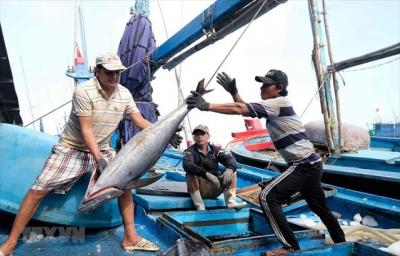 Bộ NN&PTNT thông tin về tình hình khắc phục 'thẻ vàng' IUU