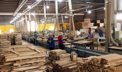 Ngành gỗ Việt Nam nhắm tới mục tiêu xuất khẩu 18 tỷ USD trong năm 2025