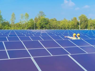 Vật liệu tái chế trong điện mặt trời: Đột phá chuỗi cung ứng hay rủi ro môi trường tiềm ẩn?