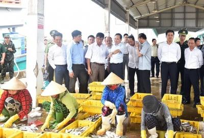 Chính phủ sẽ họp với các địa phương về giải pháp gỡ ''thẻ vàng'' của EU với thủy sản Việt Nam