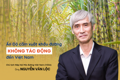 Chủ tịch Hiệp hội Mía đường: Ấn Độ cấm xuất khẩu đường không tác động đến Việt Nam