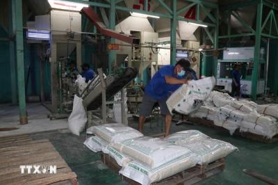 Nhập khẩu gạo của Philippines có thể đạt kỷ lục mới