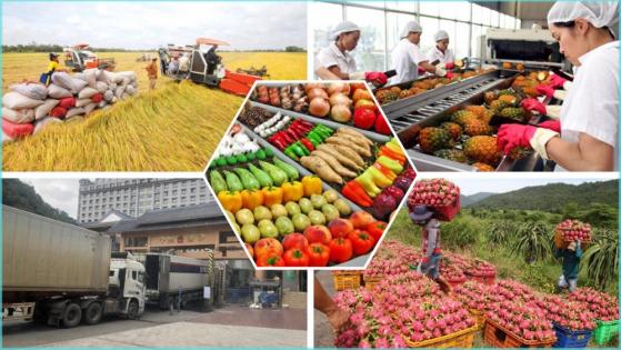 Trung Quốc mở cửa trở lại: Nông sản xuất khẩu Việt Nam đón "cơ hội vàng"