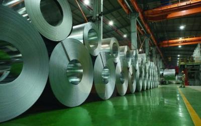 Nhận ý kiến ngoại trừ BCTC 2024, TNS tiếp tục bị hạn chế giao dịch