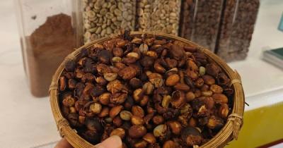 Giá cà phê hôm nay 21-6: Tụt dốc đến khó tin