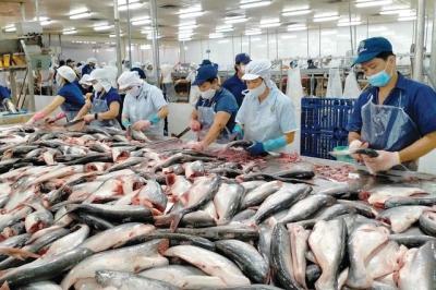 Khai thác tốt hơn thị trường nội địa sẽ giúp DN thủy sản tăng trưởng ổn định và bền vững