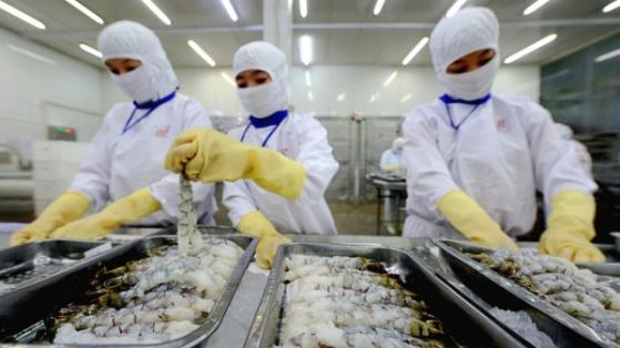 Cổ phiếu Sao Ta (FMC) tăng 7 phiên liên tiếp, KQKD quý 3 ra sao?