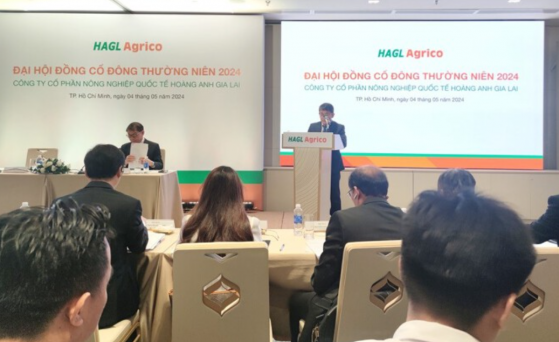 ĐHCĐ HAGL Agrico (HNG): Dự lãi 2.450 tỷ đồng năm 2028, sẽ vay nội bộ để trả nợ