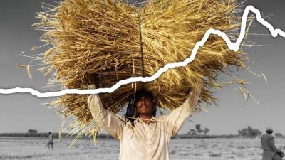Áp lực lạm phát lương thực toàn cầu gia tăng vì El Nino