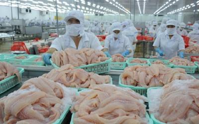 Xuất khẩu cá tra tăng trong nửa đầu năm nhưng đối mặt với nhiều thách thức trong thời gian tới