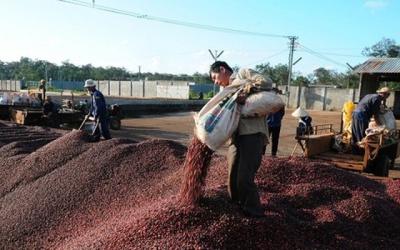 CFV tăng trần 12 phiên liên tiếp dù kinh doanh thua lỗ, chuyện gì đang xảy ra?