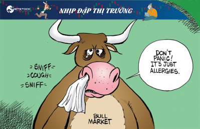 Nhịp đập Thị trường 22/02: Cú rơi… hết hồn