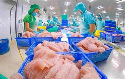 Xuất khẩu nông lâm thủy sản: Thách thức và cơ hội đan xen để cán mốc 65 tỷ USD