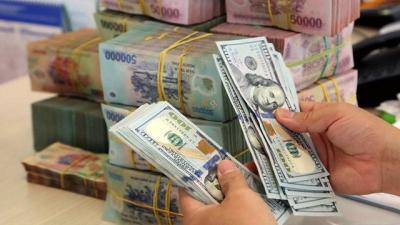 Cung tiền có phải yếu tố gây ra lạm phát?