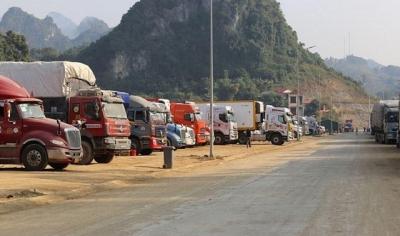 Xuất khẩu nông sản sang Trung Quốc, Bộ Nông nghiệp báo cáo giải pháp cấp bách