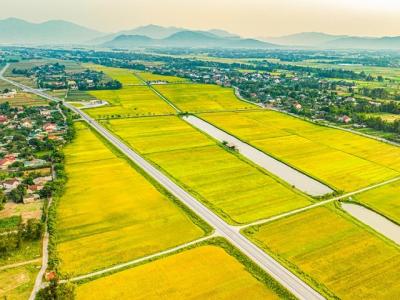 Chuỗi giá trị lúa gạo Việt Nam: Khi nỗ lực xanh hóa sản xuất gặp logistics thâm dụng carbon