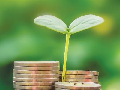 Tín dụng xanh ở Việt Nam đang “khát” dự án thực tế