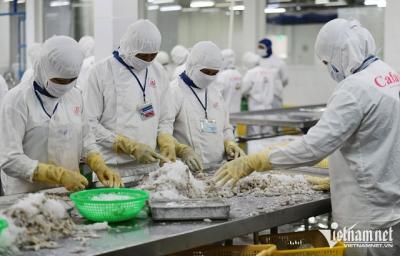 Xuất khẩu nông sản lập nhiều kỷ lục, mục tiêu 55 tỷ USD sẽ đạt được