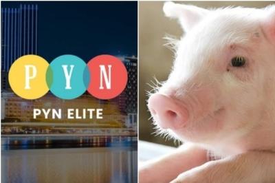 PYN Elite tiếp tục “chốt lời” DBC, tỷ lệ sở hữu chỉ còn 3.61%