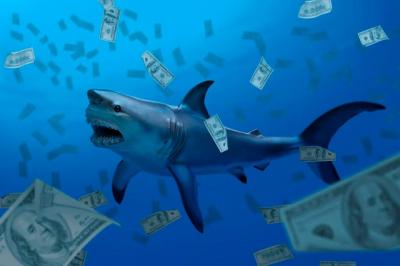 Theo dấu dòng tiền cá mập 13/06: Tự doanh và khối ngoại giao dịch HPG trái chiều