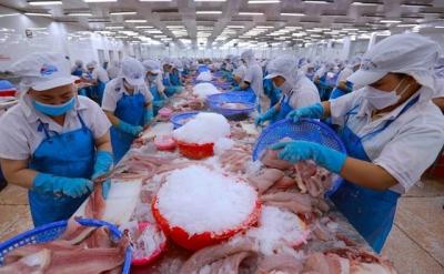 Chuyên gia quốc tế: Kinh tế Việt Nam phục hồi vững vàng giữa thách thức toàn cầu