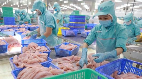 Thủy sản IDI đặt kế hoạch lãi năm 2024 tăng 3,1 lần, thông tin về kế hoạch trả cổ tức