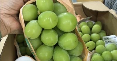 Lý do khiến lựu đỏ, nho mẫu đơn... ngày càng rẻ