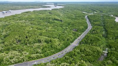 Chính phủ cho phép tạm sử dụng rừng để thi công đường sắt tốc độ cao Bắc - Nam