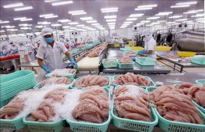 Xuất khẩu cá tra có dấu hiệu khởi sắc trở lại